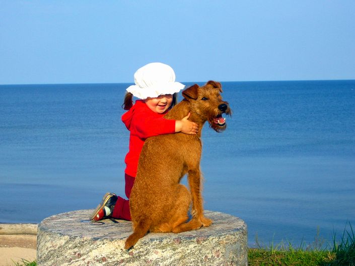 To the most passionate and tender terriers devoted.