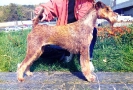 Rutlan Scrampy Jack