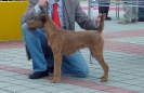 INTERRA-2009, Bratislava.