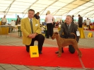IRISH FELLOW FAIRYTALE