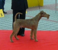 INTERRA-2009, Bratislava.