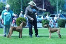 BOB & BOO 31.05.09.