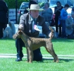 COURTINGTON KARINA