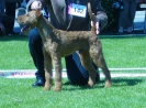 COURTINGTON KASSEL