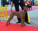 INTERRA-2009, Bratislava.