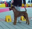 ODERO VON DER CANIS-BURG