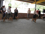 b_160_160_16777215_00_images_stories_Zima-2010_dsc00835.jpg