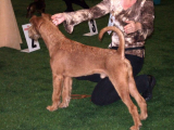 Champion's Family Ramsey