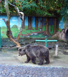 Zooloģiskais dārzs