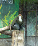 Zooloģiskais dārzs