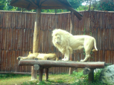 Zooloģiskais dārzs