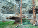 Zooloģiskais dārzs