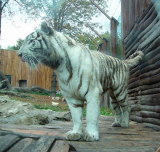 Zooloģiskais dārzs