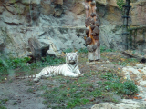 Zooloģiskais dārzs