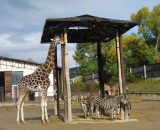 Zooloģiskais dārzs