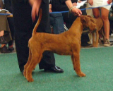 Gabbana von der Emsmuehle