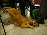 b_160_160_16777215_00_images_stories_finland_a-4.jpg