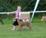 CHILD & DOG competition