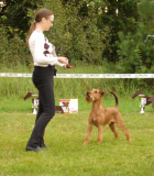 Tonic - working moment, BIS competition