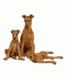 Web-links about Irish Terriers.