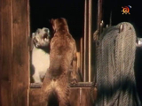 Filma &ldquo;Rudā Maikla piedzīvojumi&rdquo;