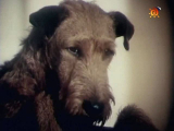 Filma &ldquo;Rudā Maikla piedzīvojumi&rdquo;