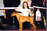 b_160_160_16777215_00_images_stories_scan_0012-brend-copy.jpg