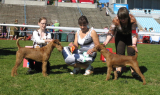 Champion's Family Ramsey & Champion's Family Rory